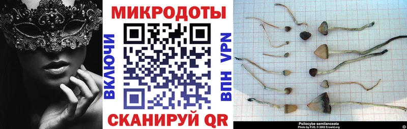 Галлюциногенные грибы Cubensis  Дегтярск 